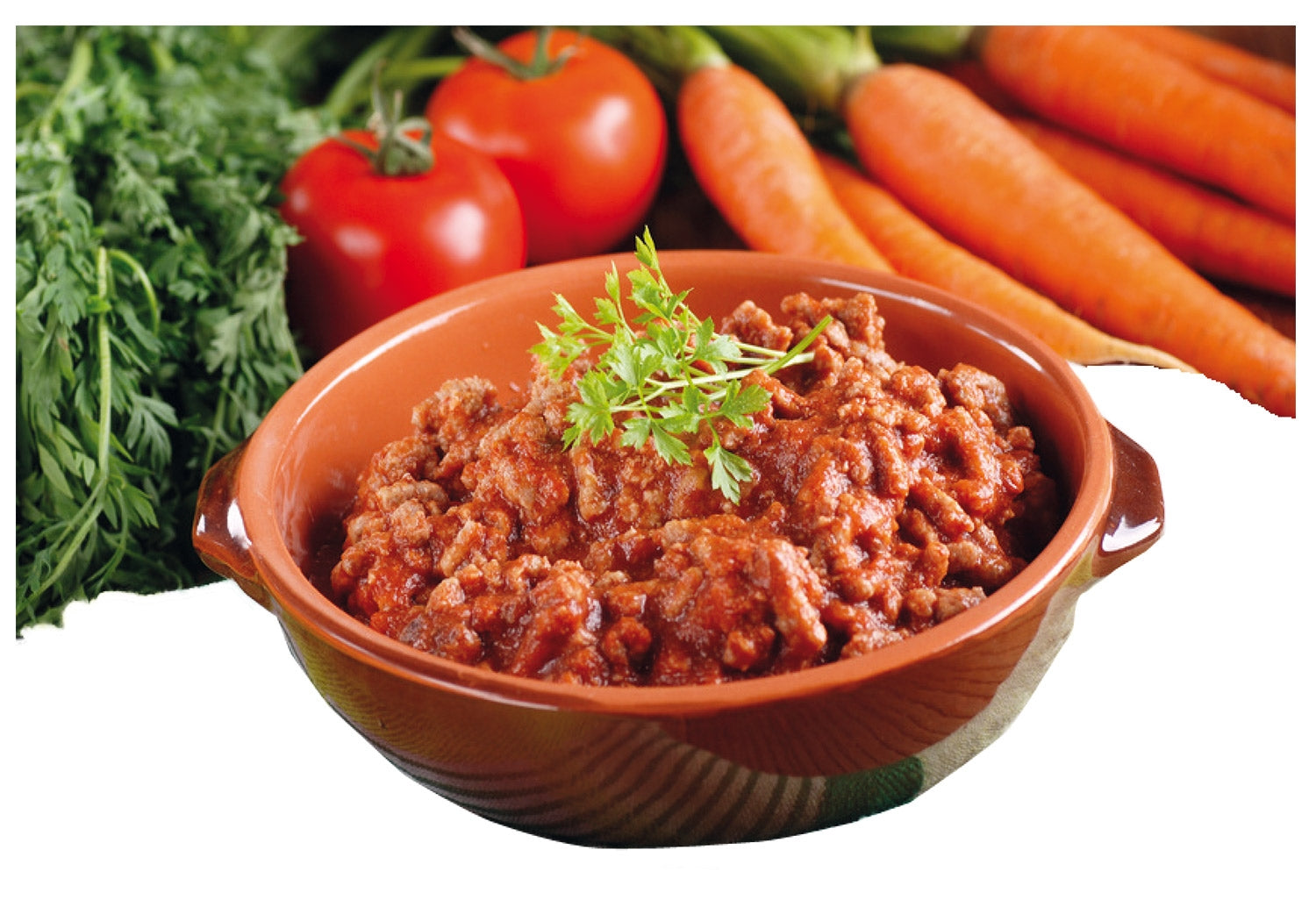 Bolognesesoße - ToRo Dosen -