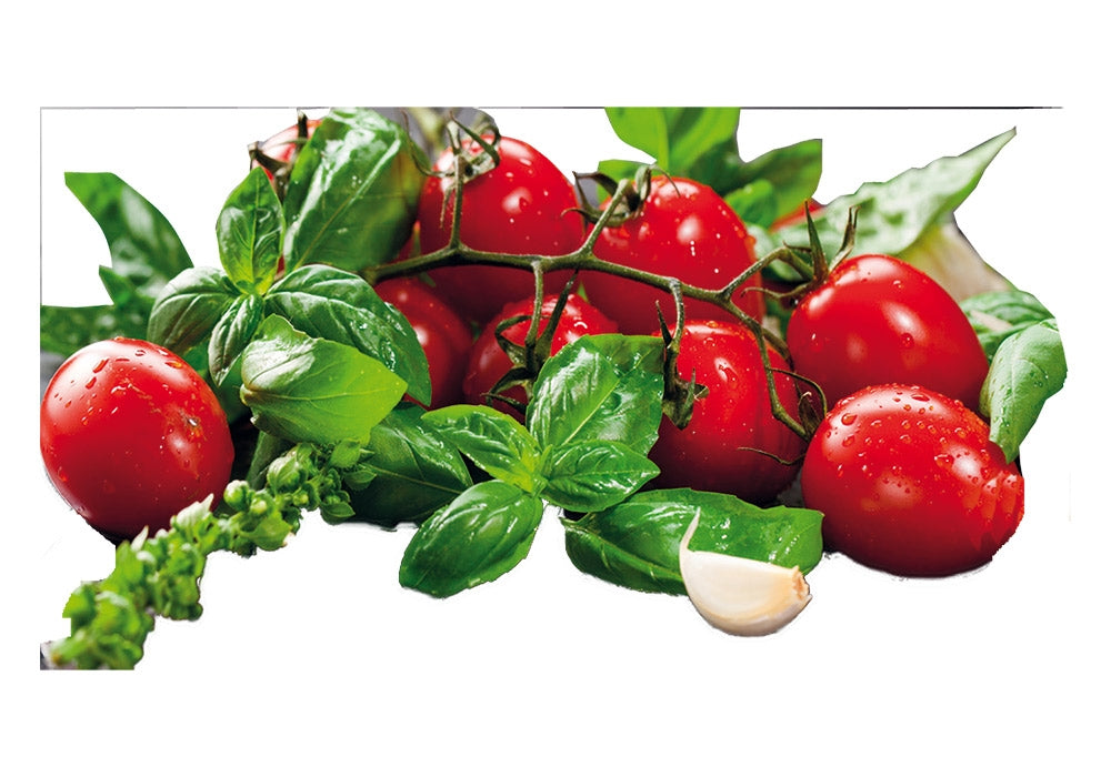 Tomatensoße - ToRo Dosen -