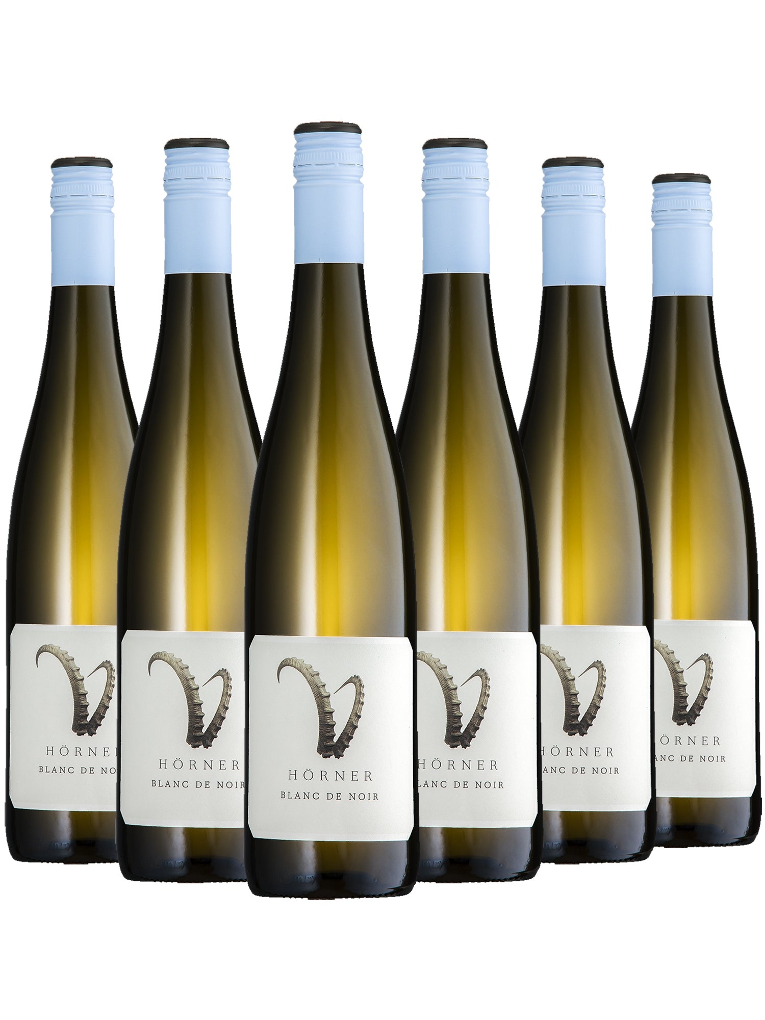 Blanc de Noir >STEINBOCK< - Hörner -