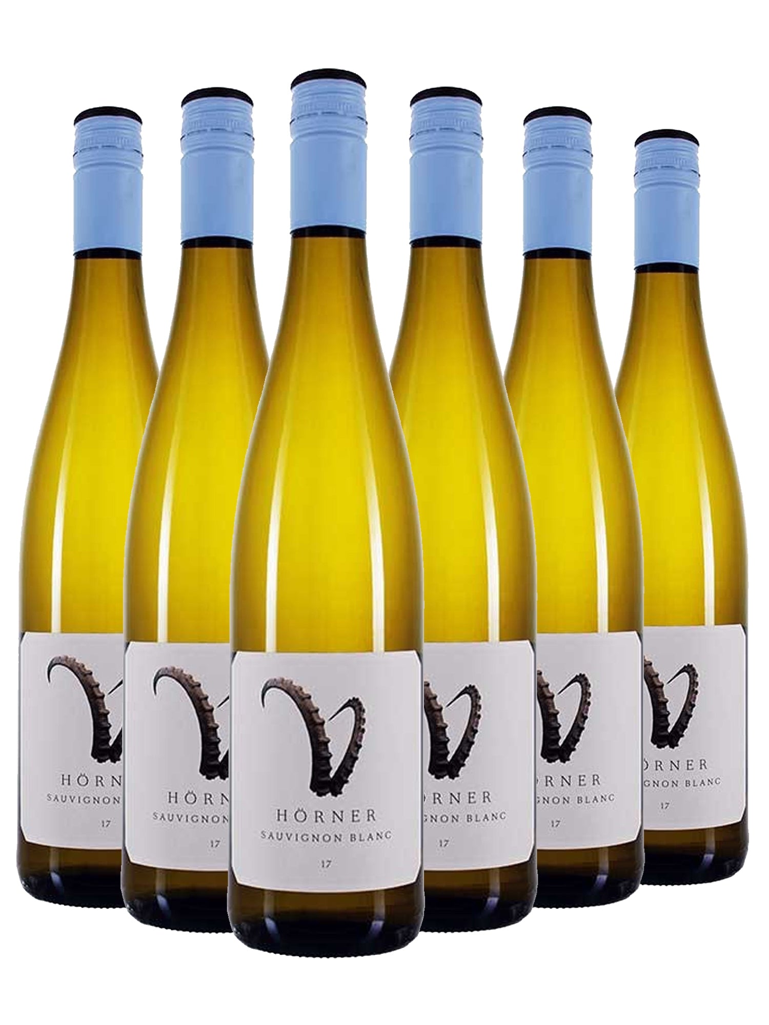 Sauvignon blanc >STEINBOCK< - Hörner -