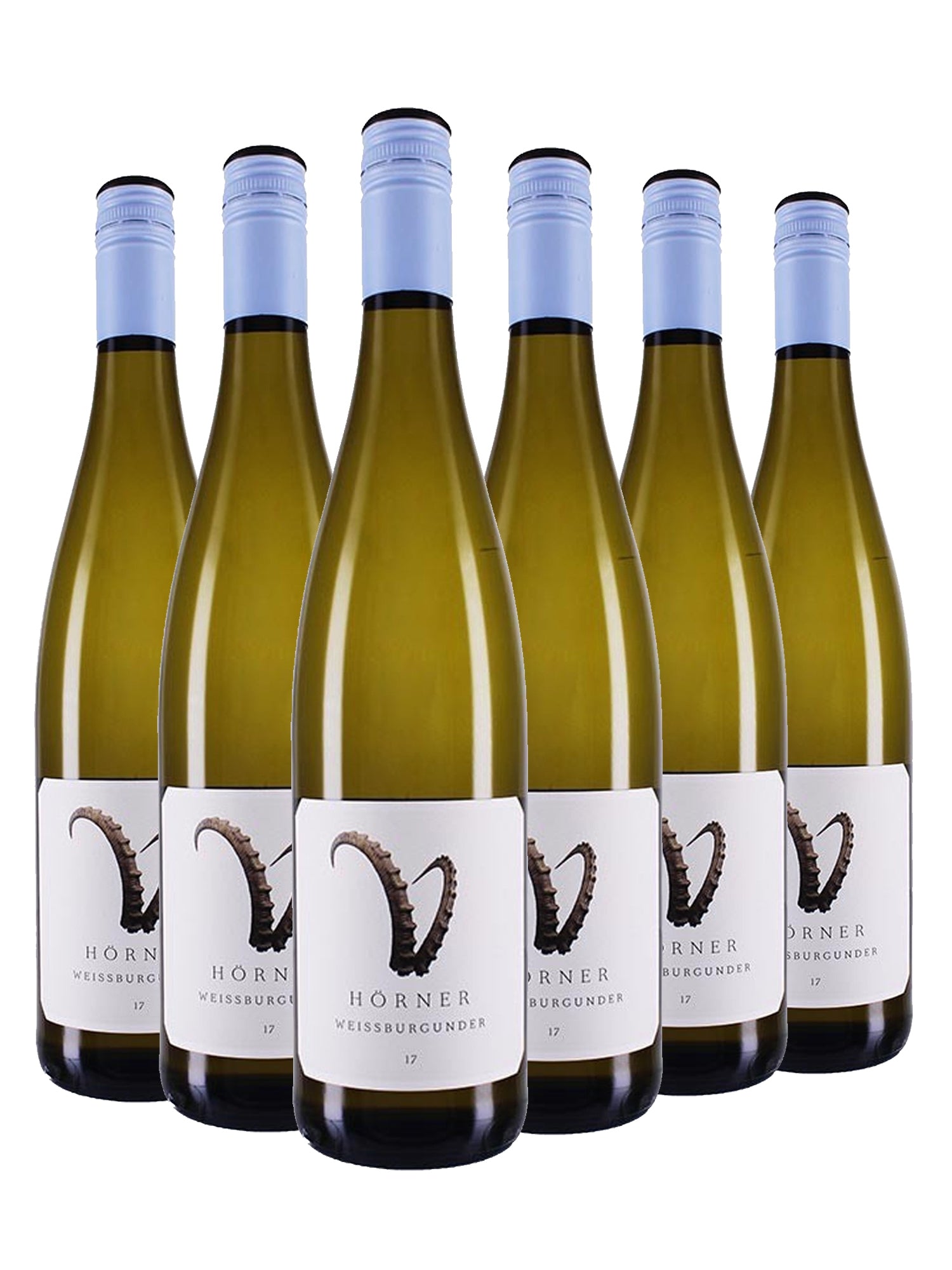 Weissburgunder >STEINBOCK< - Hörner -