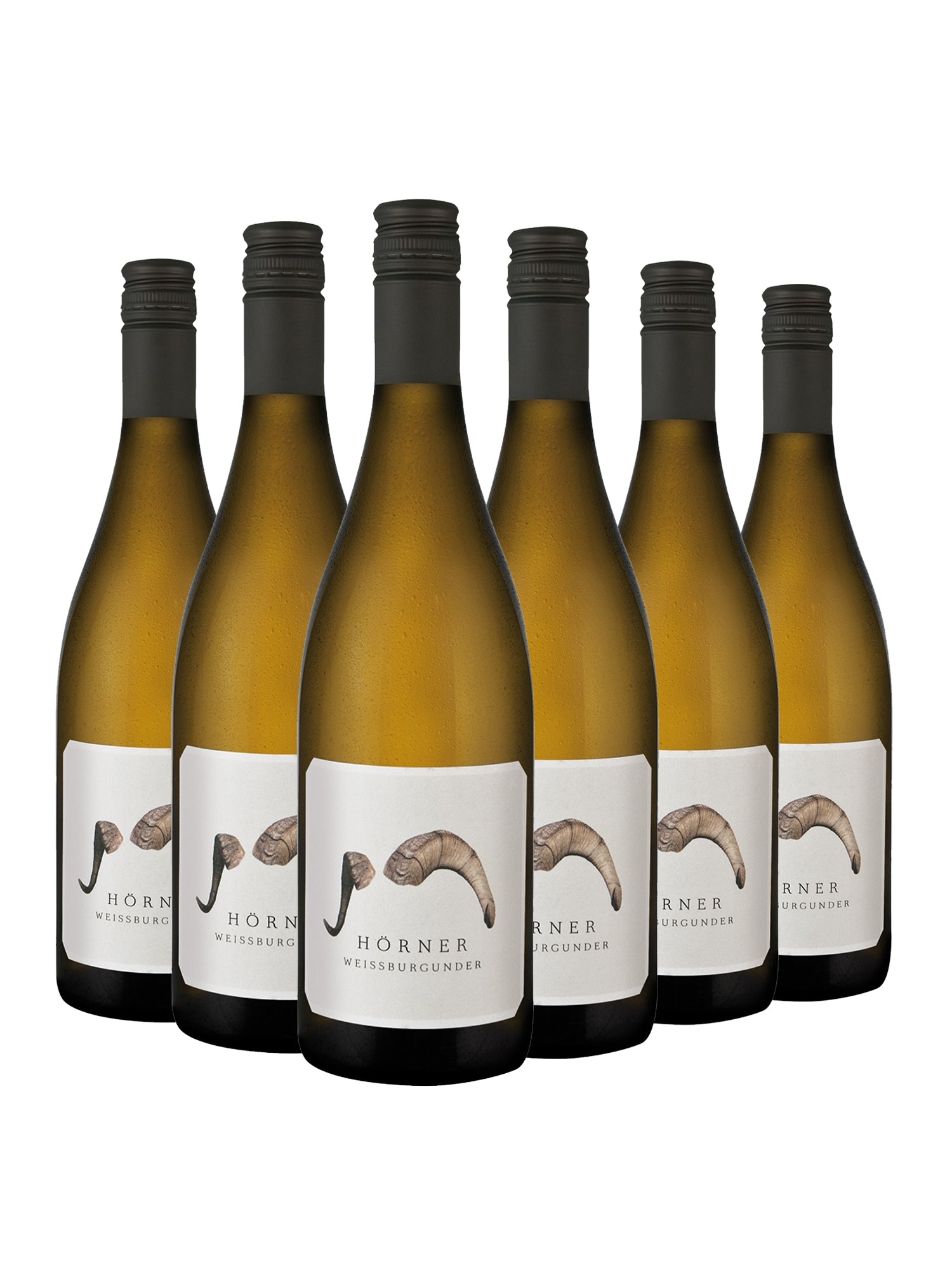 Weissburgunder >Widder< - Hörner -