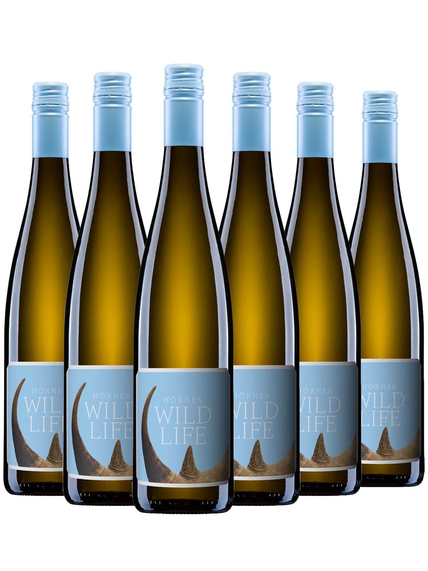 WILDLIFE Weiss >STIER< - Hörner -