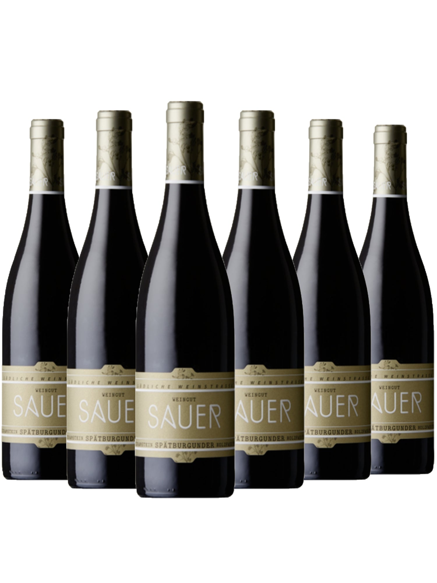 Godramstein Spätburgunder Trocken Kalkmergel - Sauer - Terroirwein