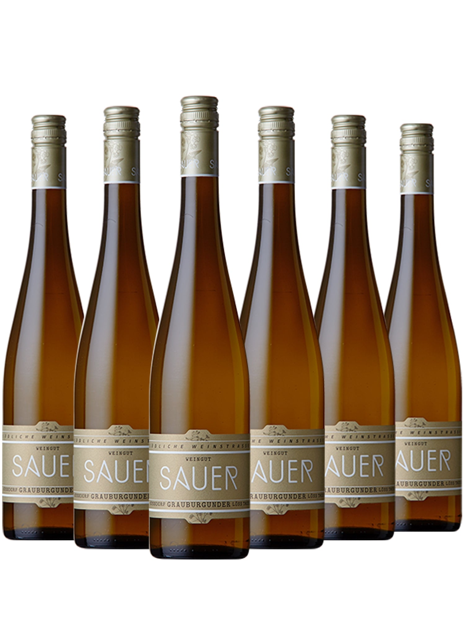 Nussdorf Grauburgunder Löss Trocken - Sauer -Terroirwein