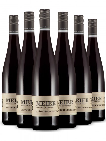 Riesling Qualitätswein trocken - Meier -