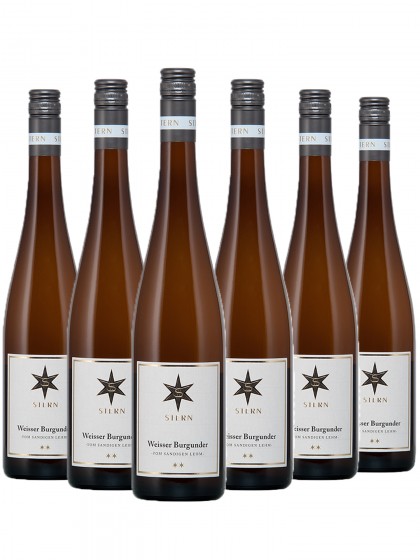 6 Flaschen Weingut Stern Hochstadt Weisser Burgunder trocken
